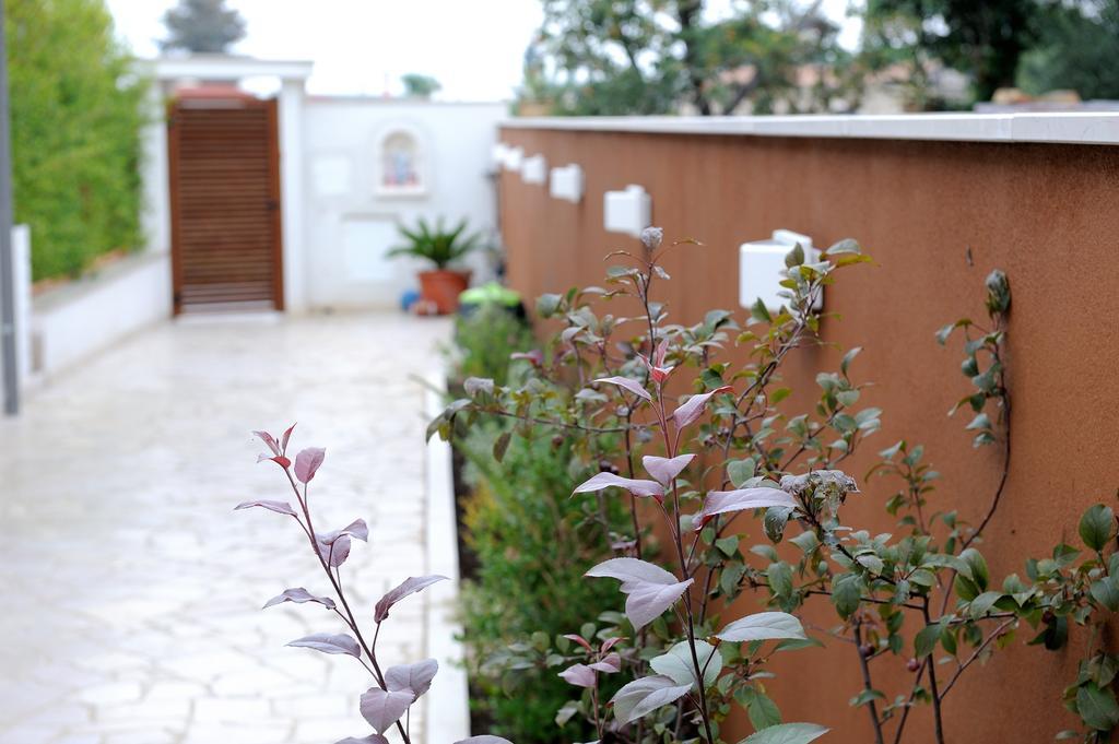 B&B Sun House Modugno Zewnętrze zdjęcie